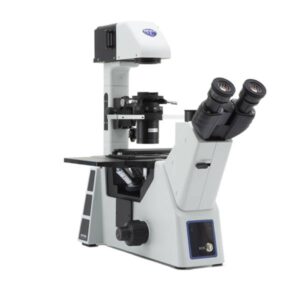 Serie ARIM-5