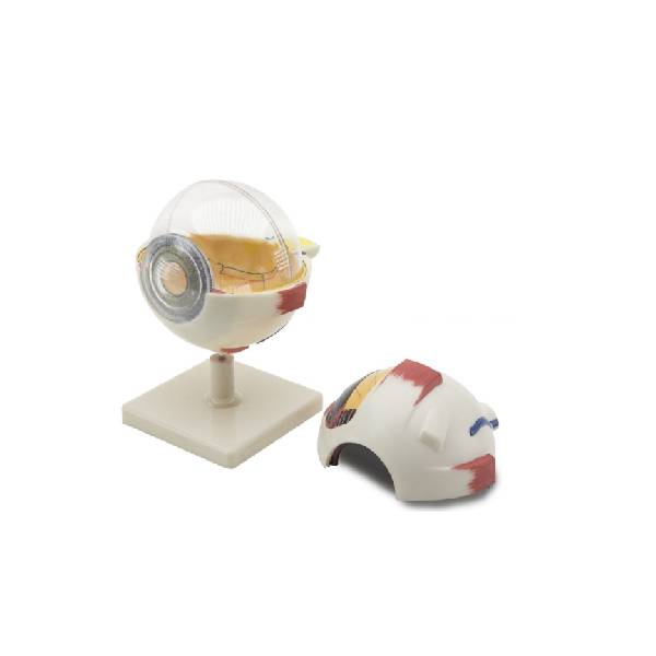 Serie ARGD0307