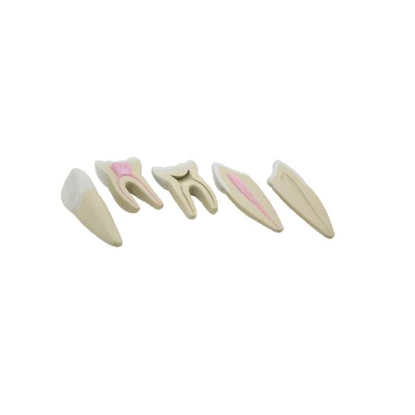 Serie ARGD0311
