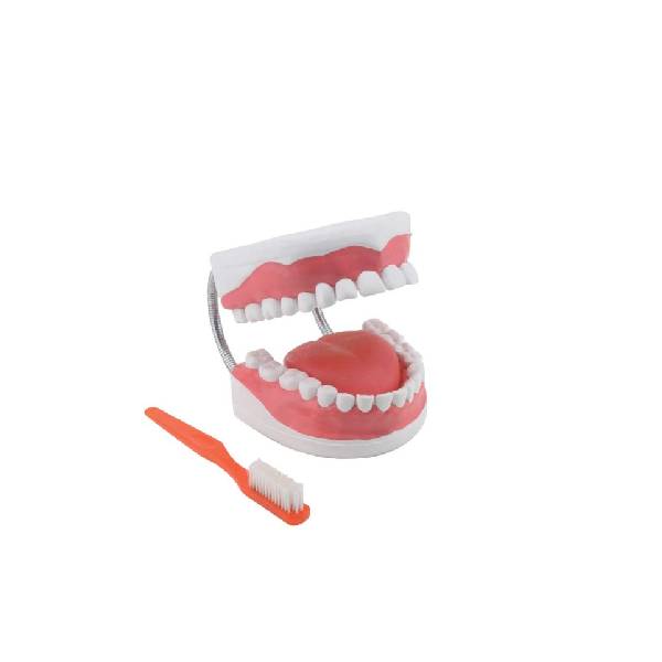 Serie ARGD0312