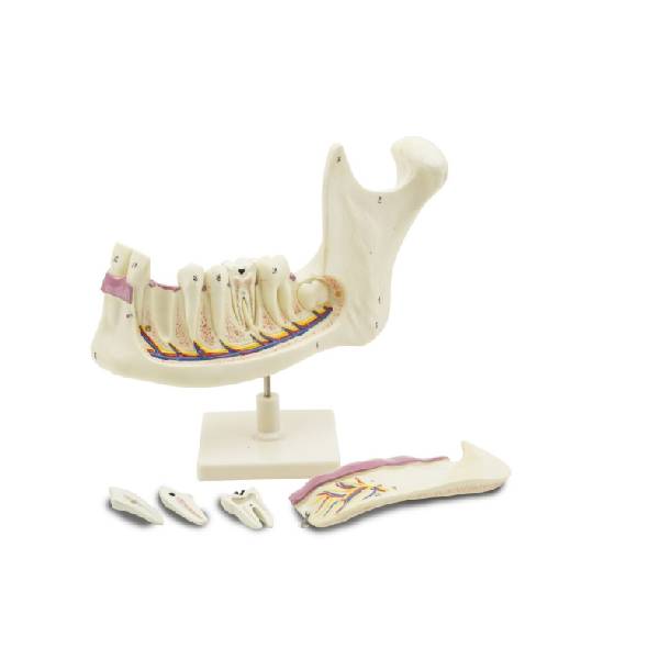 Serie ARGD0313